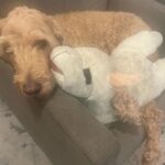 Jennifer Lindberg Instagram - its your day everyday my sweet boy.. i love you lulu!!! #schmooshschmoosh