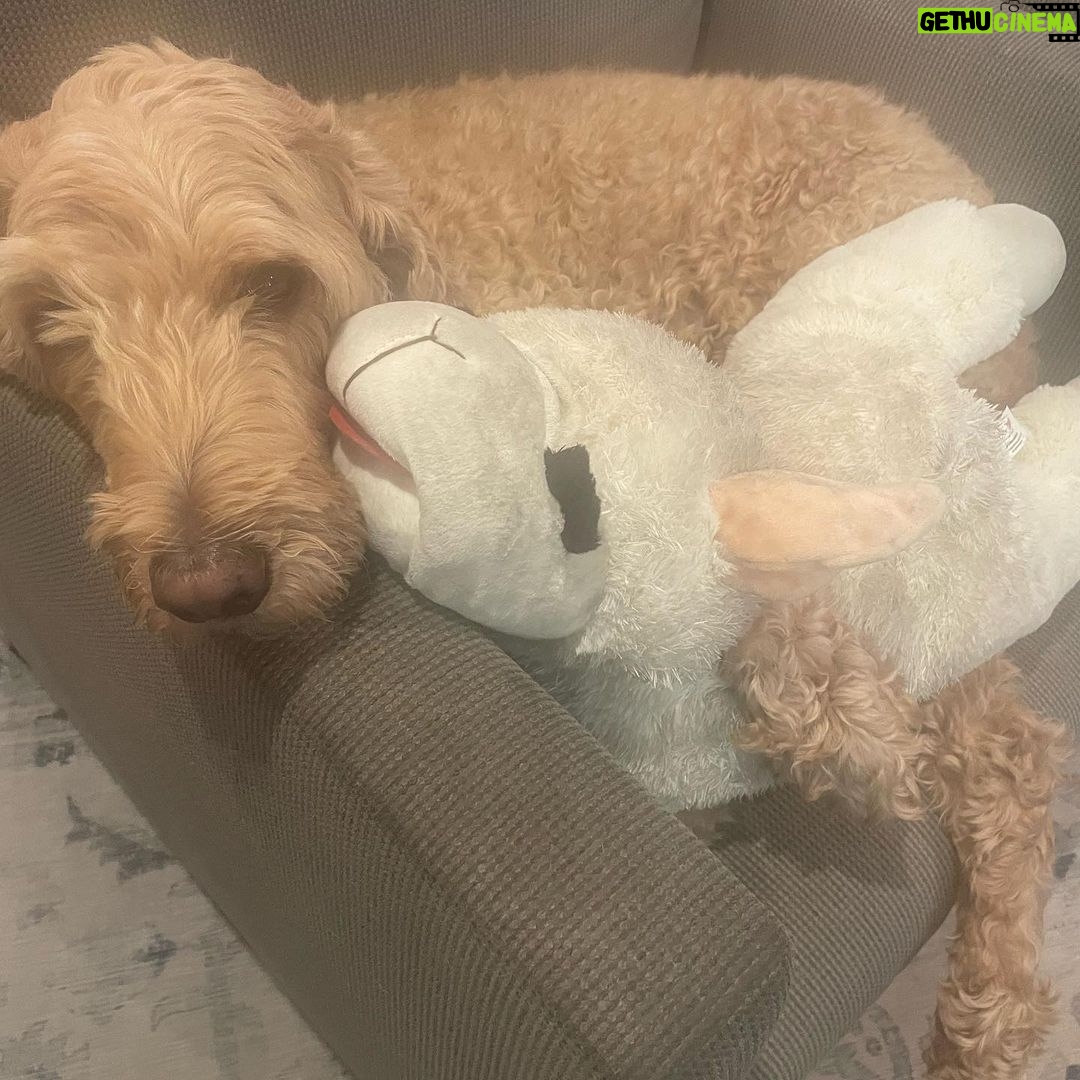 Jennifer Lindberg Instagram - its your day everyday my sweet boy.. i love you lulu!!! #schmooshschmoosh