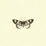 Jennifer Lindberg Instagram – 🦋 02.14.24 🦋  #warpaint