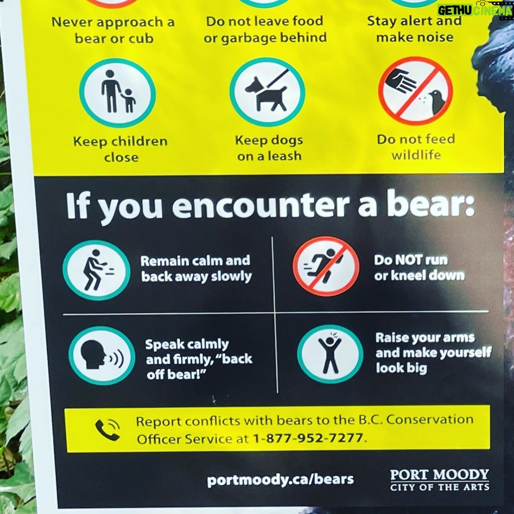 Jennifer Robertson Instagram - The part where it tells you to firmly say “back off bear.” 😂