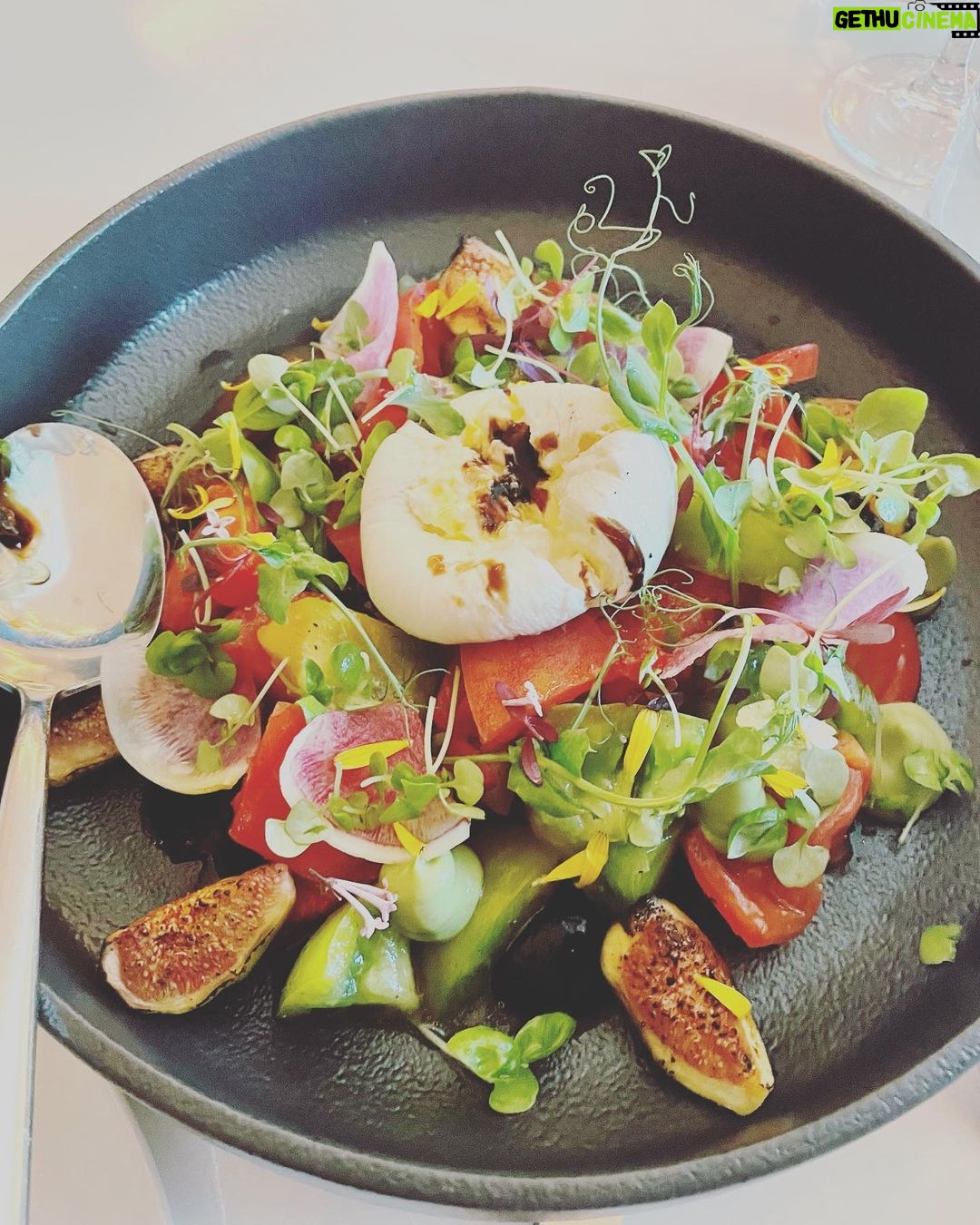 Jennifer Robertson Instagram - Far from your typical airport hotel. @bruno.yvr THIS burrata salad. @versantehotel THIS tub. The only thing that would have topped this would have been if I ate this salad whilst IN this bath. Bath Salad? Could that be a thing? Kindest staff, lovely experience π