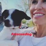Jennifer Walcott Instagram - We rescued Jasmine one year ago yesterday. Happy adoption day.