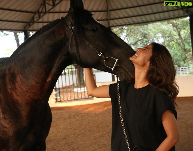 Jennifer Winget Instagram - Just like our canine companions, my barnyard buds are exactly like doggos, only just bigger!! No surprise, I have the calmest of conversations with them.