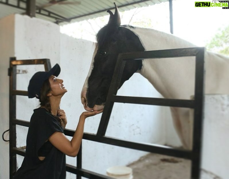 Jennifer Winget Instagram - Just like our canine companions, my barnyard buds are exactly like doggos, only just bigger!! No surprise, I have the calmest of conversations with them.