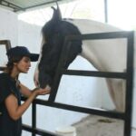 Jennifer Winget Instagram - Just like our canine companions, my barnyard buds are exactly like doggos, only just bigger!! No surprise, I have the calmest of conversations with them.