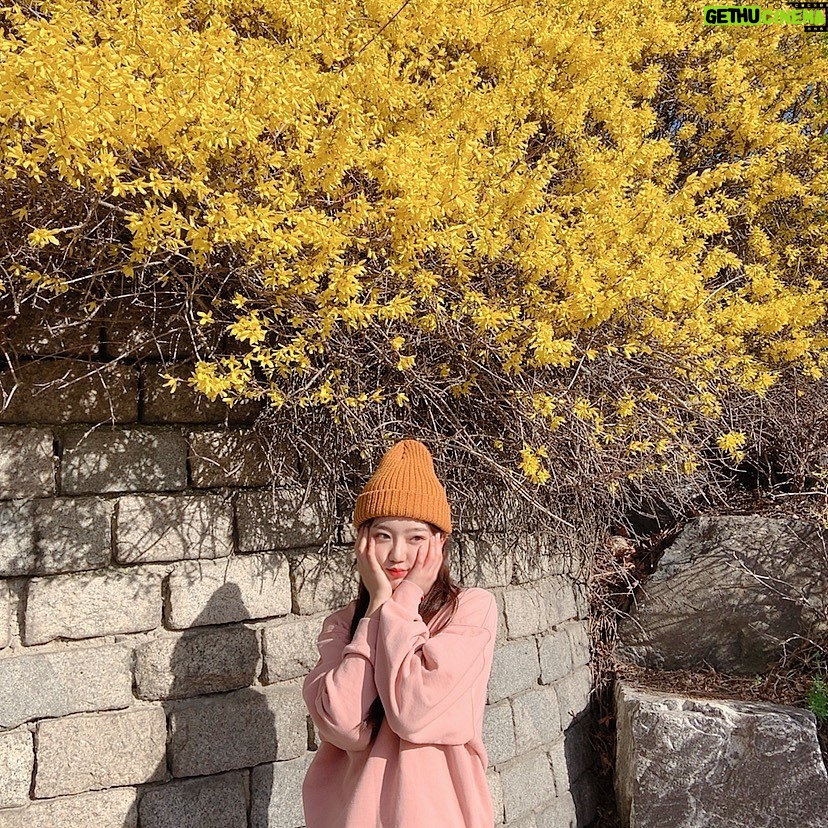 Jeon Hye-won Instagram - 내가 꽃을 얘랑 보네... 즐겁다고^__^