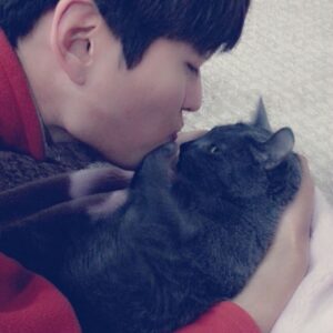 Jeong Si-hyun Instagram - 어젯밤 저랑 4년을 넘게 같이 살았던 켄이 갑자기 아파 천사가 되어 날아갔어요 더 좋은 것 못해줘서 너무 미안하지만 마지막 가는 길을 볼 수 있어서 다행이라는 생각이 들었어요. 하늘에서는 아프지 말고 넓은 곳에서 맘껏 뛰놀길.
