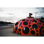 Jeong Young-han Instagram - 🎞️2023.8 Naoshima2 Ando X Kusama 제주 본태박물관이 인상 깊었다면 꼭 가야 하는 섬 전동 자전거를 빌려 안도가 지은 미술관들을 하루면 전부 둘러볼 수 있다 중간중간 만나는 호박은 덤 Naoshima, Kagawa