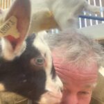 Jeremy Clarkson Instagram - Very much enjoying my new goats