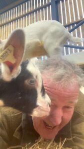 Jeremy Clarkson Instagram - Very much enjoying my new goats