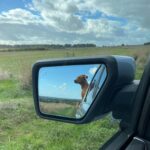 Jeremy Clarkson Instagram - Dogjects in the rear view mirror may be closer than they appear. @F-150