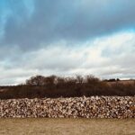 Jeremy Clarkson Instagram - I’ve got wood