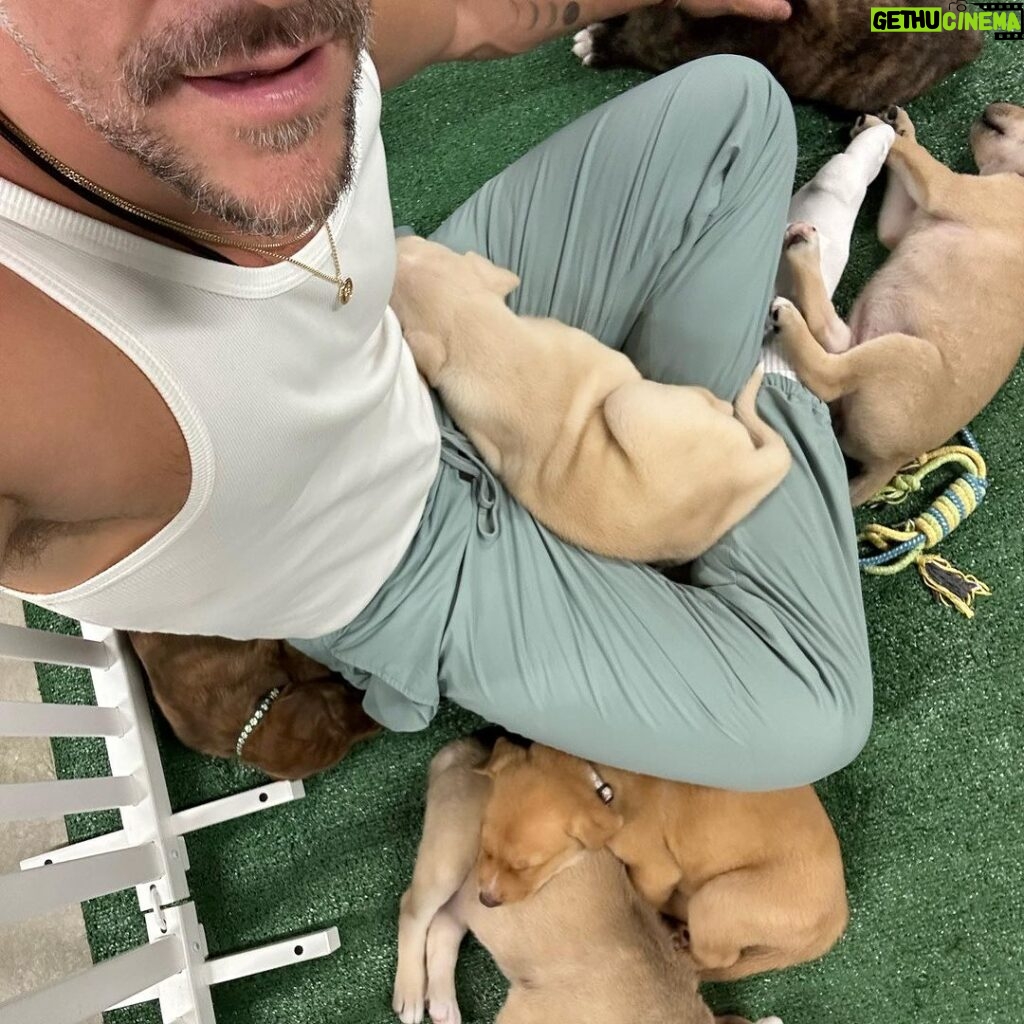 Jeremy Hudson Instagram - My heart has officially melted into a pile of goo loving on these lil babes today… If I didn’t tour for a living I’d take them all but hey, maybe you can help? These sweet pups are all up for adoption and needing good homes… if you know anyone that may be interested or want to inquire more @tappuppyparties <— located in San Diego 😍😍😍 Snapdragon Stadium