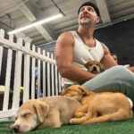 Jeremy Hudson Instagram – My heart has officially melted into a pile of goo loving on these lil babes today…
If I didn’t tour for a living I’d take them all but hey, maybe you can help?
These sweet pups are all up for adoption and needing good homes… if you know anyone that may be interested or want to inquire more
@tappuppyparties <— located in San Diego 😍😍😍 Snapdragon Stadium