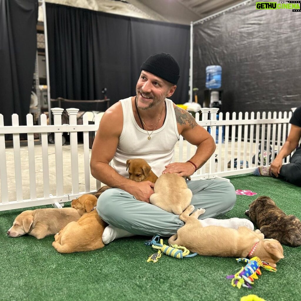 Jeremy Hudson Instagram - My heart has officially melted into a pile of goo loving on these lil babes today… If I didn’t tour for a living I’d take them all but hey, maybe you can help? These sweet pups are all up for adoption and needing good homes… if you know anyone that may be interested or want to inquire more @tappuppyparties <— located in San Diego 😍😍😍 Snapdragon Stadium