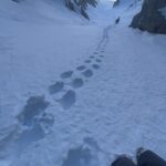 Jeremy Jones Instagram - #mindsurfmonday Following in the footsteps of @highcamp.us. Zellers is the first to climb/ride this line over 25 years ago. @goodmannnnnn and I took advantage of one of the rare high pressure/stable conditions to tic this one off. “That’s a spicey line” I told Zellers after riding the line. “Haha… I had an inclinometer with me…it measured somewhere in the mid 50’s at the top,” Zellers said. I never try to guess angle but the line was one of the spicier ones I have ridden in the Sierra. Fun to dabble with sharp end in between storms. The highlight was riding the low angle old growth groves below the line. #artofshralpinism #jonesouterwear @sierranevada