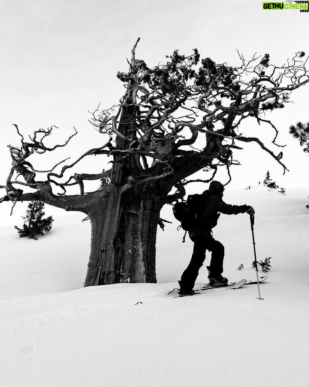 Jeremy Jones Instagram - The softer side of Shralpinism seen through the eyes of master lensemen @andrew_miller during a 3 day run of high pressure, soft snow and stability. Getting those three things to line up is quite rare. Maybe 5 to 10 times a season? When the sun, stability, and powder portal opens I get a one track mind and become useless outside of the mountains.