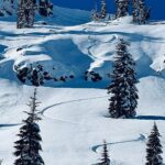 Jeremy Jones Instagram - We didn’t get our “White Christmas” but we have been having a lot of family fun in sun this week. Wishing “Peace, Love and POW” to you and your loved ones this holiday season! #peacelovepow