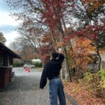 Jeremy Lee Instagram - 每一次去旅行 都覺得係提醒自己要努力工作 咁先可以去到自己想去嘅地方 有時候 看下美景 淨化下自己 都真係幾重要 點都好 人生還是要繼續 美好的事物都很短暫 繼續加油🫶🏻 辛苦大表揸咁耐車 嗰日TMI 登機口係98 🤪 #lifegoeson #🍁