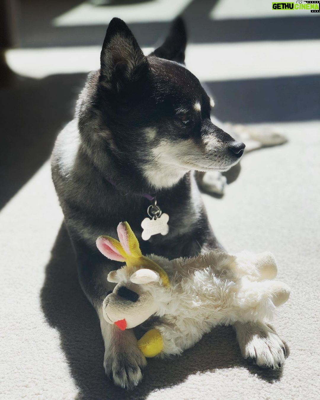 Jeremy Renner Instagram - Who is ready for summer?!? I know she is ❤️.