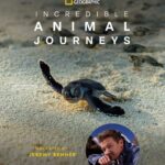 Jeremy Renner Instagram - Big news 🎉 Along with two other wonderful storytellers, I'm thrilled to share I'll be narrating an upcoming natural history series for @natgeotv. Stay tuned for more details and some truly epic wildlife adventures!