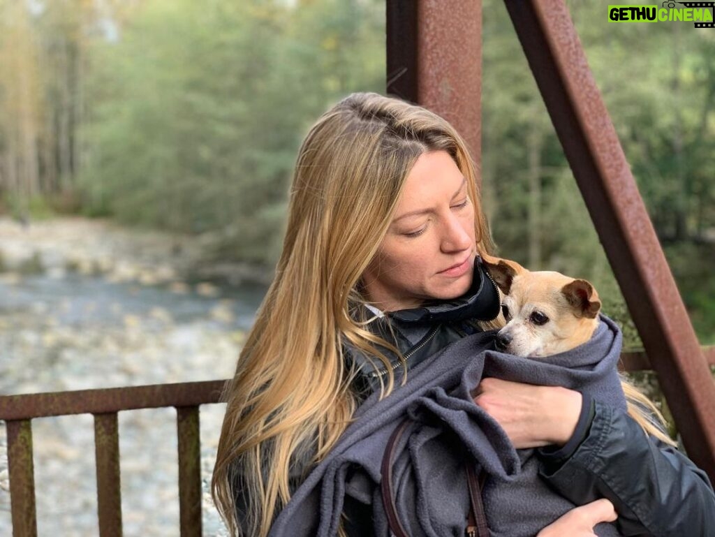 Jes Macallan Instagram - To my beautiful, courageous, little lion heart. My little “pow pow”. My Baci bean. My little Choochy. My Bacini weeny. My best friend. It has been 12 days, 2 hours, and 7 minutes since you took your last breath in my arms. My heart is completely broken and I am lost without you. The only solace and strength I hold onto was that you lived an amazing life and we had a hell of an amazing adventure together. From the moment I saw you as a teeny tiny 8 week old puppy at that flea market in the trunk of that horrible persons car in Milan, Italy... I took you from him and promised I would protect you and take care of you until your very last breath. I had no money and no plan... but I knew we could get through anything if we had each other. Who knew that you would be the one that ended up protecting me. Some EIGHTEEN YEARS later here you were, wise but weak after all of our adventures together... after all of our moves, career changes, life changes, relationship changes, heartbreaks, hardships, wins and losses, celebrations and successes and all the laughter and kisses and cuddles... you told me you were ready to cross the rainbow bridge. So we went to the beach, we went to your favorite river, we laid in the sun, you slept in my arms, and we ate cheeseburgers and turkey sandwiches till we burst. As I knew you would... you fought till the end... but your little body couldn’t keep up with your giant heart. Thank you for letting me be your person and for teaching me all of the things you did. You touched so many people and it feels as though a giant book of chapters and chapters of my life has closed. I promise to keep growing and learning and to keep the same promise for your furry brother and sister. They will be safe until their last breath. You are my hero and you were a warrior... my darling little Baci. Ci vediamo dopo amore mio. Ti amo per sempre. I love you always. #heartbroken #smilingthroughtears #furevermybestfriend #mygirl #womansbestfriend #runandplayfreeofpainontherainbowbridge #Bacibean