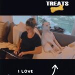 Jes Macallan Instagram - Our rescue pups bring us joy in the simplest of moments on a day to day basis… seen here. They make our family whole and we have so many giggles together over their different personalities and silly antics. It’s no secret I adore and admire the rescues and shelters and all they do for these loving companions that are sometimes found in terrible situations and somehow continue to trust humans and keep their hearts pure and kind and open. Like our sweet Vida here, found emaciated on the streets, and now she gets all the treats!! Moral of the story… @bestfriendsanimalsociety is working with over 3,900 shelters and rescue groups to increase pet adoptions and save lives. This Giving Tuesday, please support their work by making a donation to Best Friends or your local animal shelter or rescue group. Link in bio. Thank you! #givingtuesday #rescuedog #whorescuedwho