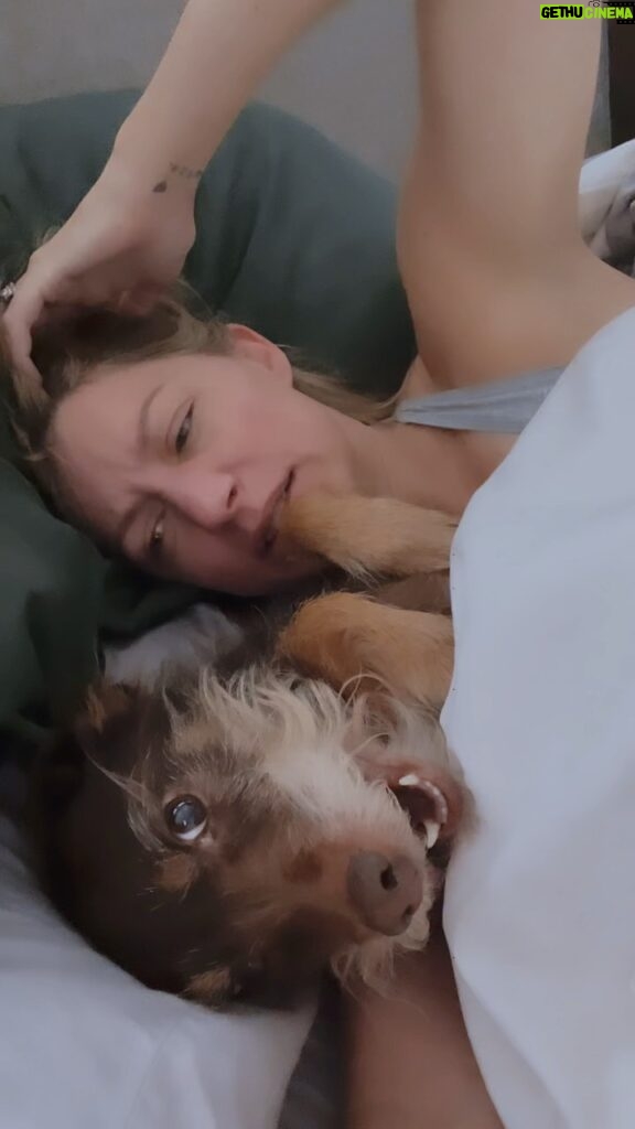 Jes Macallan Instagram - An appreciation post for my middle fur child on #internationaldogday because the older and younger pup get a LOT of attention already. She sneaks under the covers every morning the second I open my eyes, and she is secretly happiest when it’s just me and her. I love you sweet Lady, you sensitive little bearded stink bug. Your birthday song was the start of the most beautiful, perfect day. ❤️