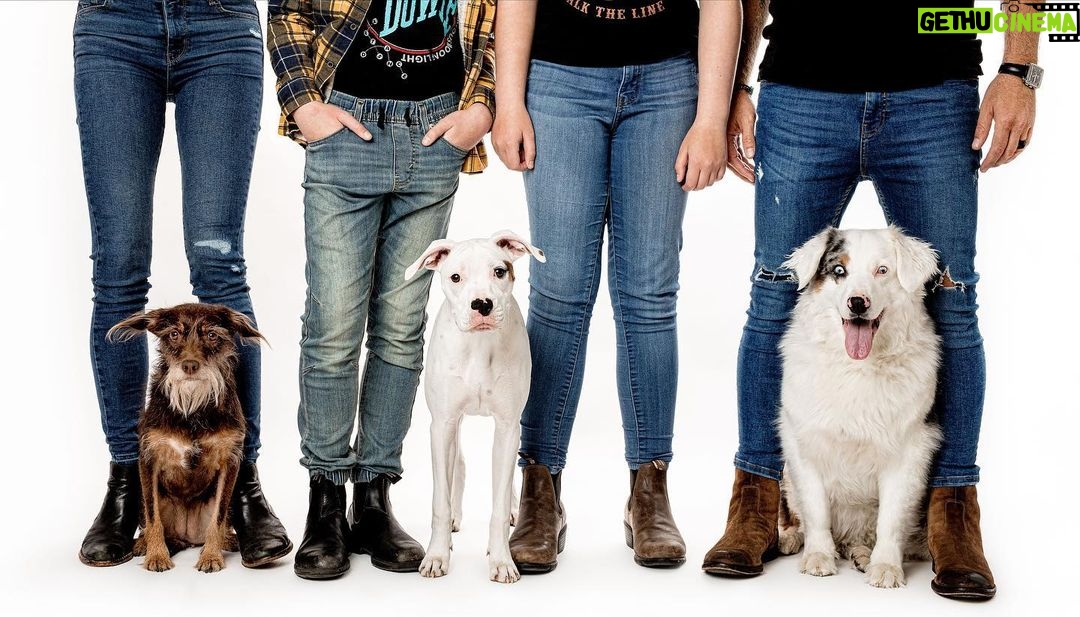Jes Macallan Instagram - Happy National Dog Day! These sweet pics are oldies but goodies by the lovely @charlienunnphotography I can’t believe our family has another set of little feet now! We finally have an equal number of four legged and two legged kiddos 🤣🐶 🤟@mrnicbishop #nationaldogday #internationaldogday #goodthingscomeinthrees #adogforeverykid #dogsofinstagram #rescuedog #adoptdontshop #rescuedogsofinstagram