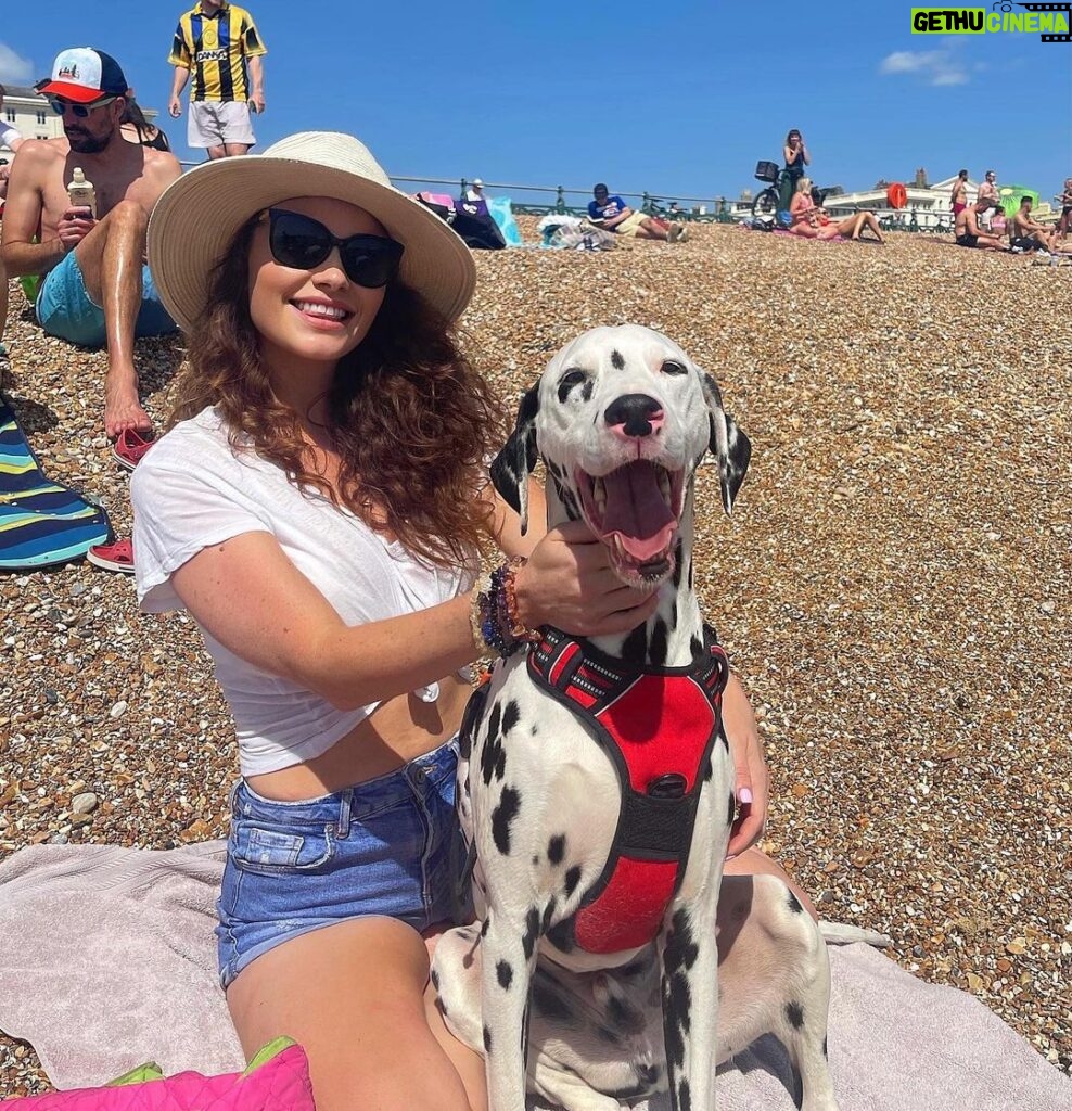 Jess Impiazzi Instagram - Saying goodbye to you was the hardest! The most beautiful boy in the world. 😢 @alexvirley and @mrelk91 took in Bruce after I got divorced and they gave him the most amazing life and I got to see him and have him stay at mine all the time! He got poorly recently and lost the ability to walk and other complications and Bruce had to be put to sleep. We were there with him holding his paws 🐾 Alex and Tom, you guys are the best and Bruce was one lucky guy getting to live with you! We will all miss him dearly! Rest well Bruce you hugged me through so much 🐾❤️