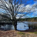 Jess Impiazzi Instagram - 🍃 🌍 🍁 🌏 🍂 Frensham Pond