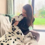 Jess Impiazzi Instagram - Saying goodbye to you was the hardest! The most beautiful boy in the world. 😢 @alexvirley and @mrelk91 took in Bruce after I got divorced and they gave him the most amazing life and I got to see him and have him stay at mine all the time! He got poorly recently and lost the ability to walk and other complications and Bruce had to be put to sleep. We were there with him holding his paws 🐾 Alex and Tom, you guys are the best and Bruce was one lucky guy getting to live with you! We will all miss him dearly! Rest well Bruce you hugged me through so much 🐾❤️