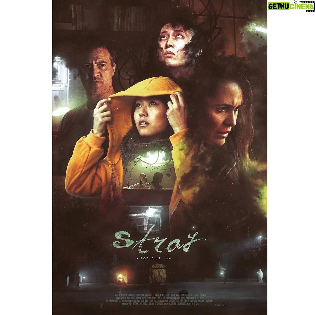 Jess Varley Instagram - @straythemovie out today!! 🎉