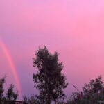 Jessica Alba Instagram - 🦄 #SoCal #sunset
