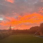 Jessica Alba Instagram - 🦄 #SoCal #sunset