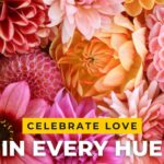 Jessica Alba Instagram - Featuring all things #Valentines + #Galentines themed for #SmallBusinessSaturday x #BlackHistoryMonth 🎀🤍🥀✨ These brands have you covered whether you’re chilling with your BFFs or doing date night with your ❤️ @lurelly @chelseaparisint @maisoneli_ @sucrecouture @fancyhomebody @fortmrw.co @ourside.nyc @forvrmood @sweetredpeach Check ‘em out and comment your faves below!
