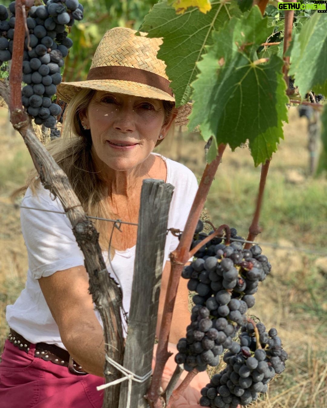 Jessica Biel Instagram - Celebrating #InternationalWomensDay by celebrating my beautiful mom... who has taught her kids and grandkids to support, love and respect everyone, especially women ❤️