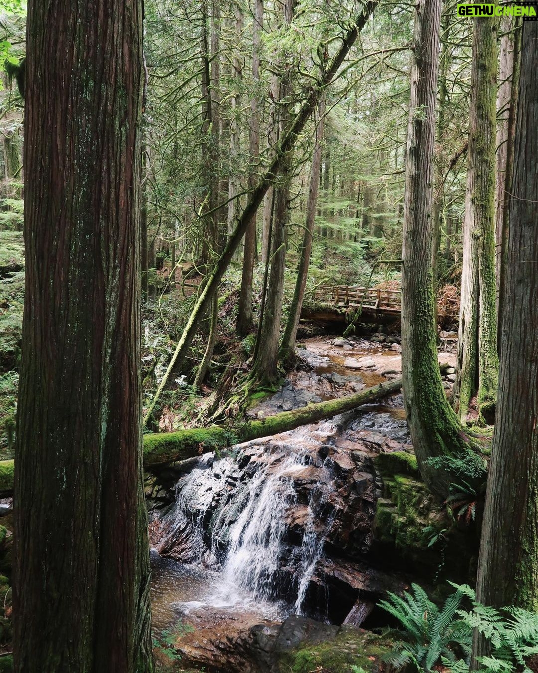 Jessica Lord Instagram - home 🤍 Sunshine Coast BC Canada