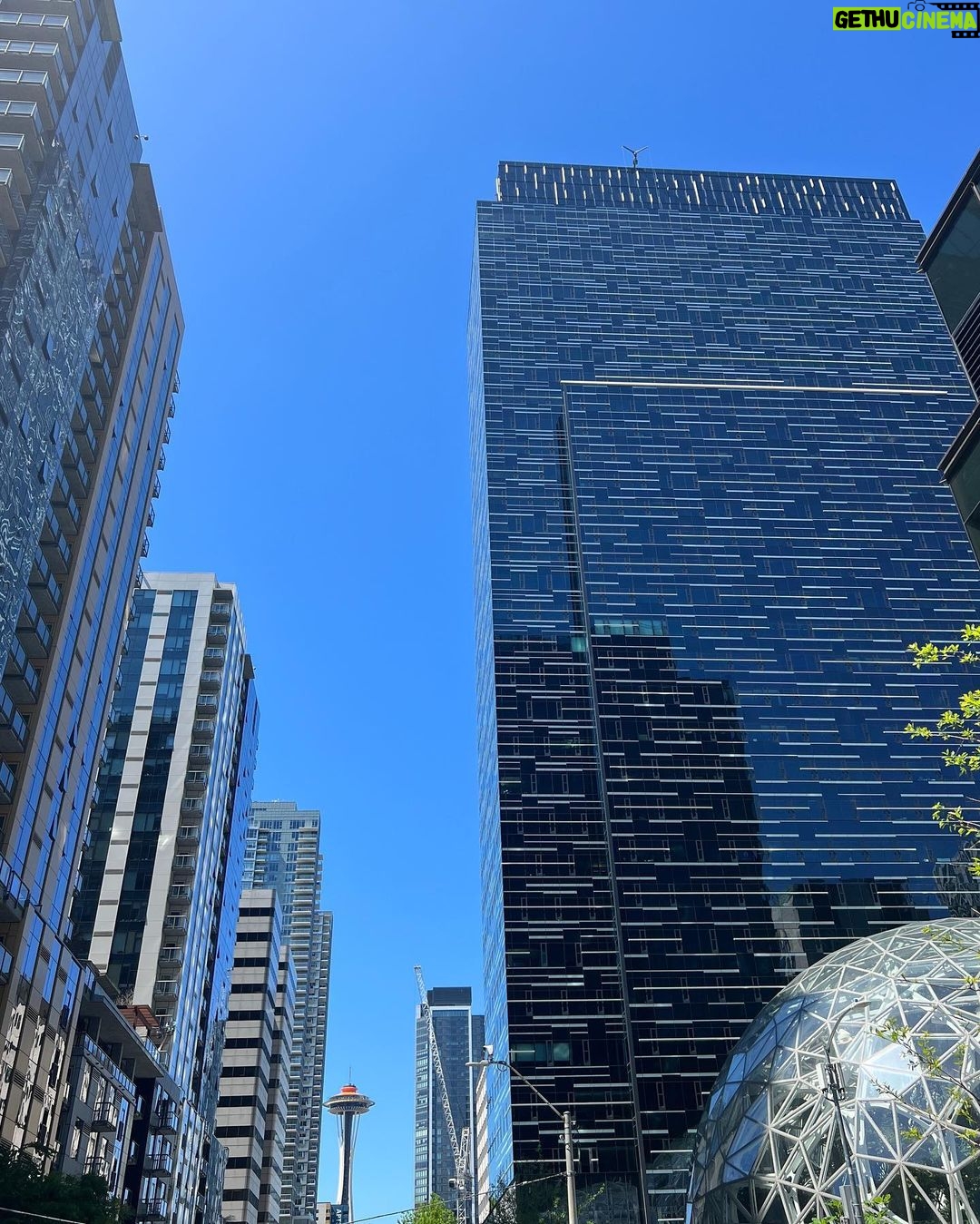 Jessica Lord Instagram - bringing the sunshine to Seattle Seattle, Washington