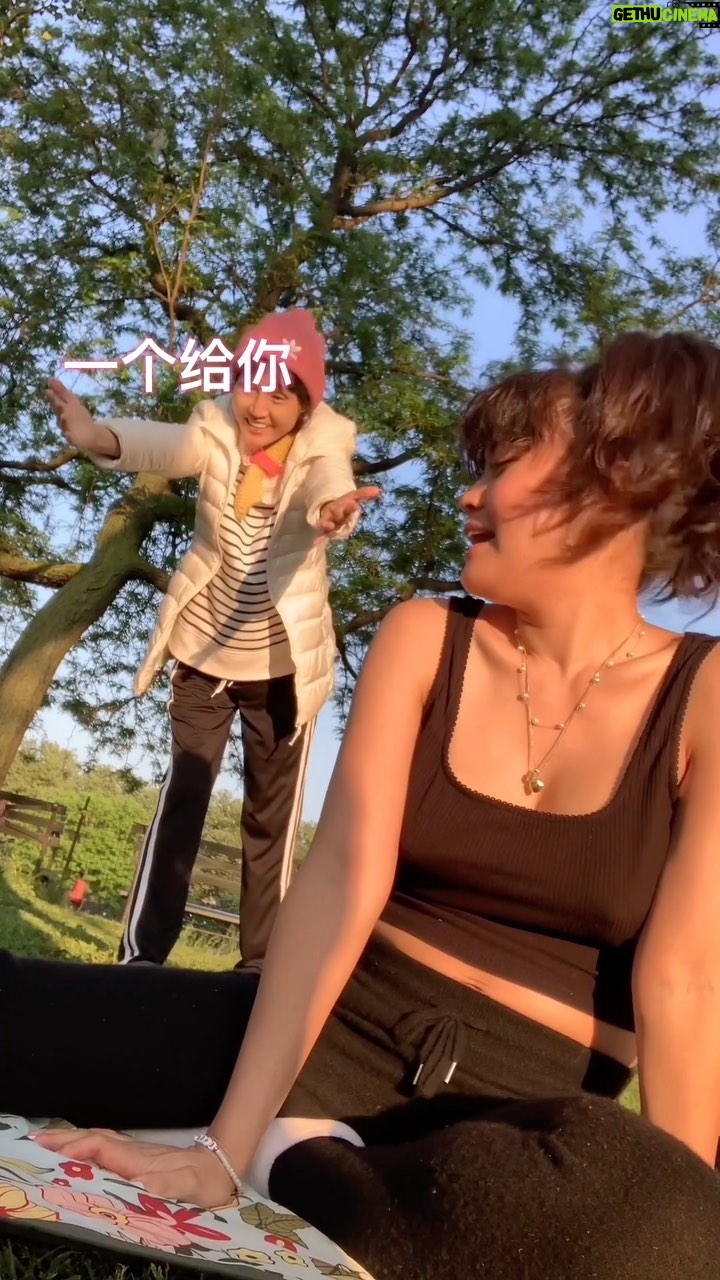Jessica Lu Instagram - Finally a sunny day in NYC. (Not today, today is cloudy and gonna rain again lol) LaoLao fka Mama Lu gives Everest her first tai-chi lesson … 😂 🥰 #taichi #lol Brooklyn, New York