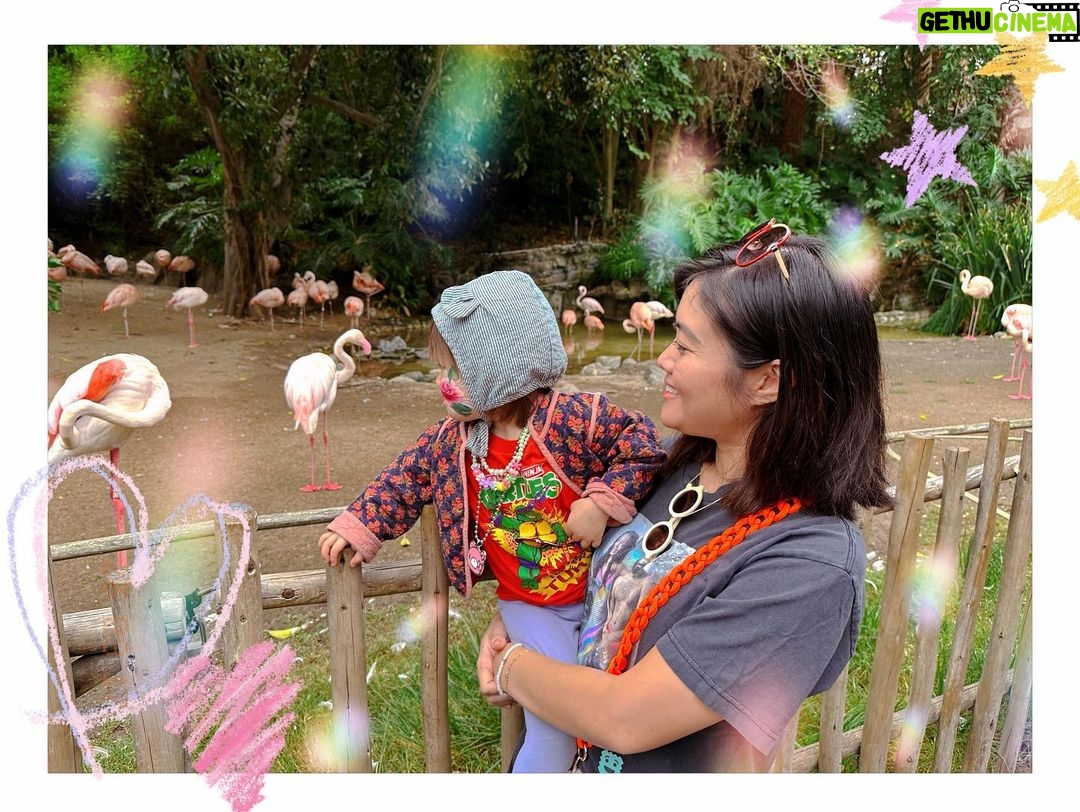 Jessica Lu Instagram - 🦩 A mom from my mom therapy group told us that flamingos lose their pink when raising their babies because it’s such an intense process but it eventually comes back. So if you’re feeling like you’ve lost yourself in parenthood, remember that your pink will come back. 💕