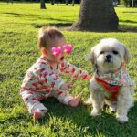 Jessica Lu Instagram - you know how you see all those cute videos and pics of big sisters loving on their new baby sisters Oprah is not one of those not even a little bit #oprahsuricruiselu