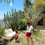 Jessica Lu Instagram – I’m spraying the tree.