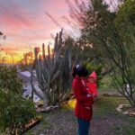 Jessica Lu Instagram - garden bathing during magic hour sunsets with my teeny tiny fairy goblin elf … thing. #crushingcaptions #itwaspoetictilitwasnt