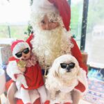 Jessica Lu Instagram – Tell me you’re extra without telling me you’re extra. This took me all day to edit. Goodnight, Covid Christmas.