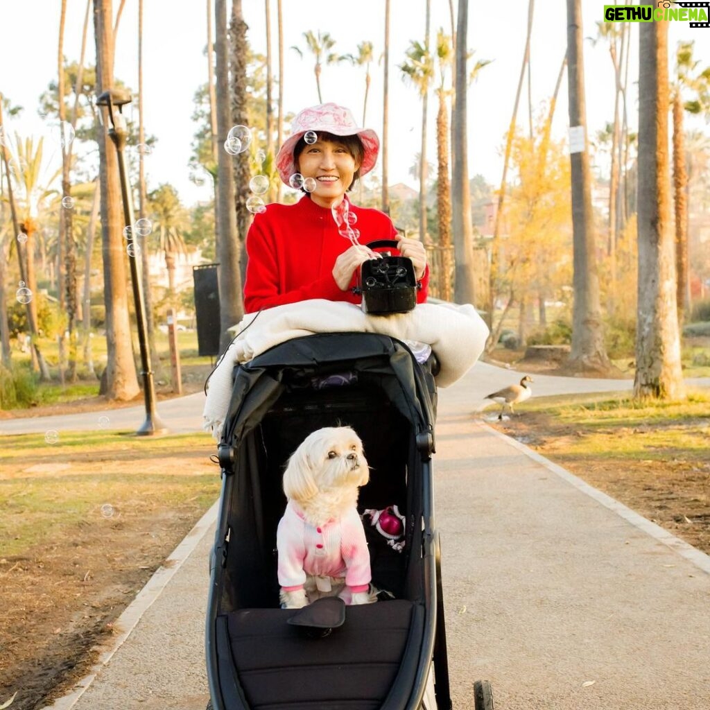 Jessica Lu Instagram - Love this pic. Strongest woman on the planet. Just finished another round of radiation, fuck the tumors that have the audacity to grow, do you know who you’re dealing with?! Also. This stroller is for Everest, NOT Oprah, contrary to what it looks like here. #WorldCancerDay #fuckcancer