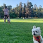 Jessica Lu Instagram – Sometimes life pauses and everything is well again. 💛☀️