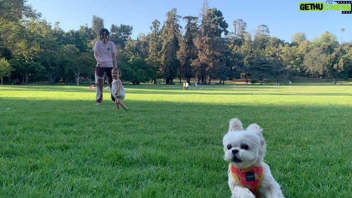 Jessica Lu Instagram - Sometimes life pauses and everything is well again. 💛☀️