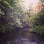 Jessica Lucas Instagram - Experiencing my favorite season in the flesh. #Boston, you are beautiful.