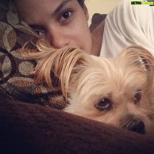 Jessica Lucas Instagram - Sometimes you just need a #snuggle.